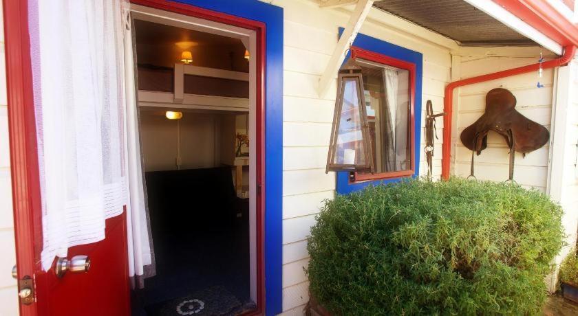 Stables Lodge Backpackers Napier Luaran gambar