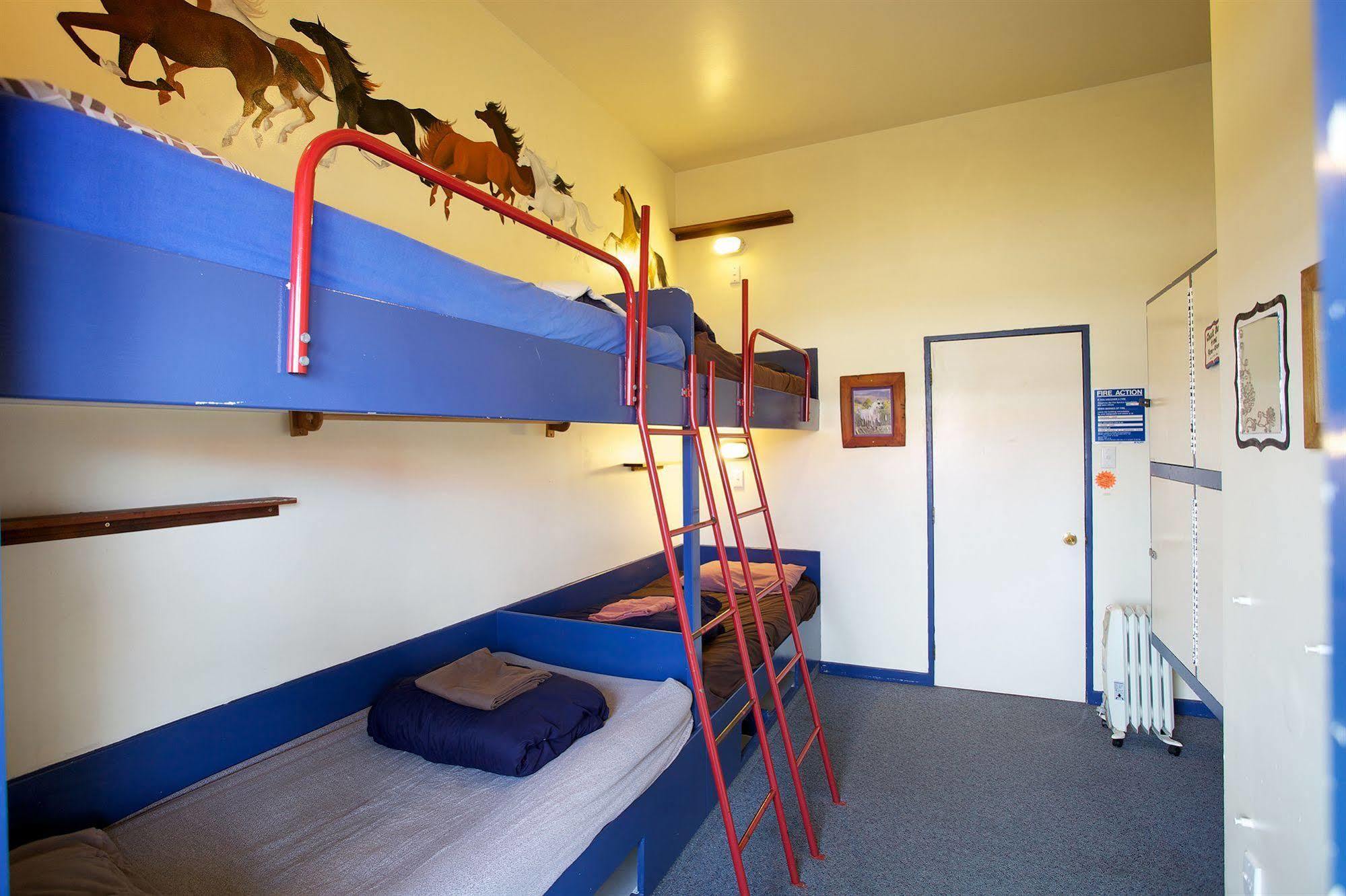 Stables Lodge Backpackers Napier Luaran gambar